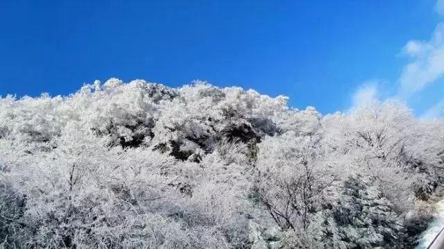 青岛市公安局海岸警察支队栈桥湾派出所会同海警开展涉海联合打私巡查行动