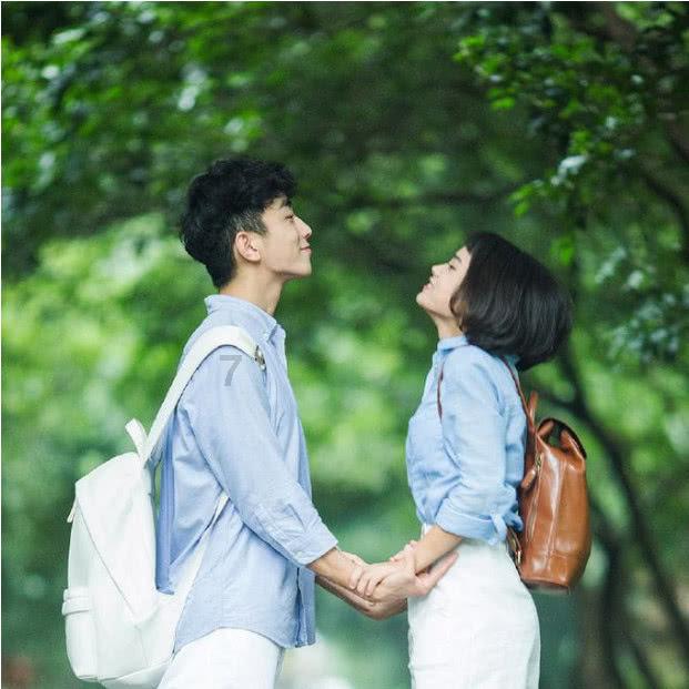 漂亮鹦鹉救援